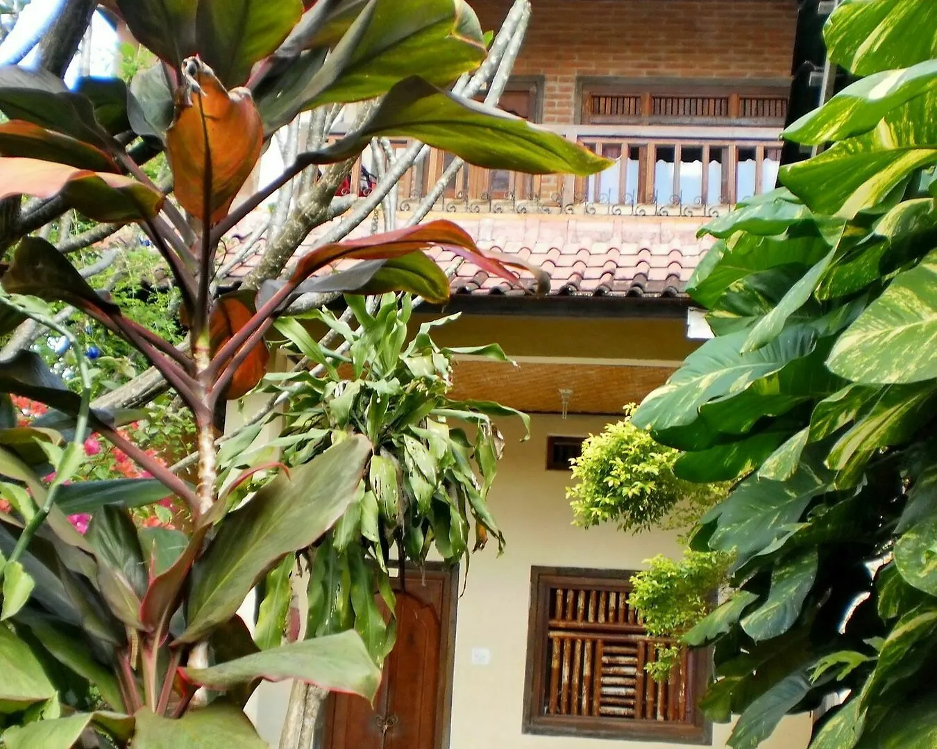 Guest house Arjuna Homestay Ubud